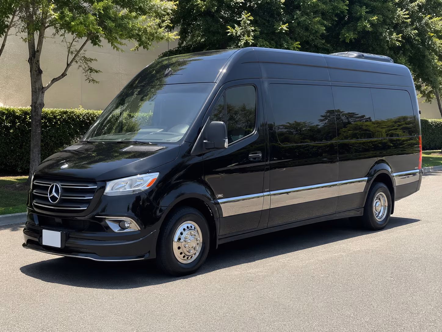 eugene 15 passenger sprinter van